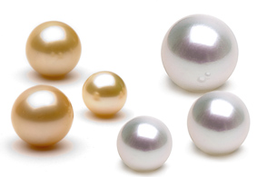 Perles d'Australie, perles des mers du sud