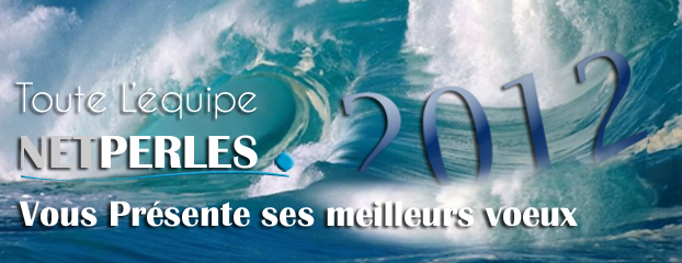 NETPERLES-PRESENTE-SES-MEILLEURS-VOEUX-POUR-2012 Toute l'equipe NETPERLES est heureuse de presenter ses meilleurs voeux pour la nouvelle annee 2012