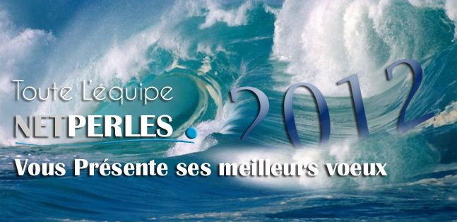 L’Equipe NETPERLES présente ses meilleurs voeux pour 2012