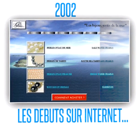 NETPERLES-2002 Naissance de NETPERLES