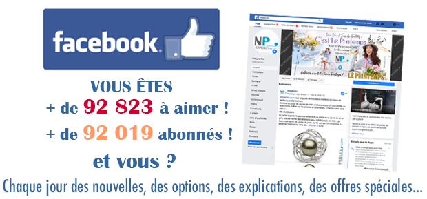 NETPERLES SUR FACEBOOK La page NETPERLES-FACEBOOK a été ouverte pour vous...